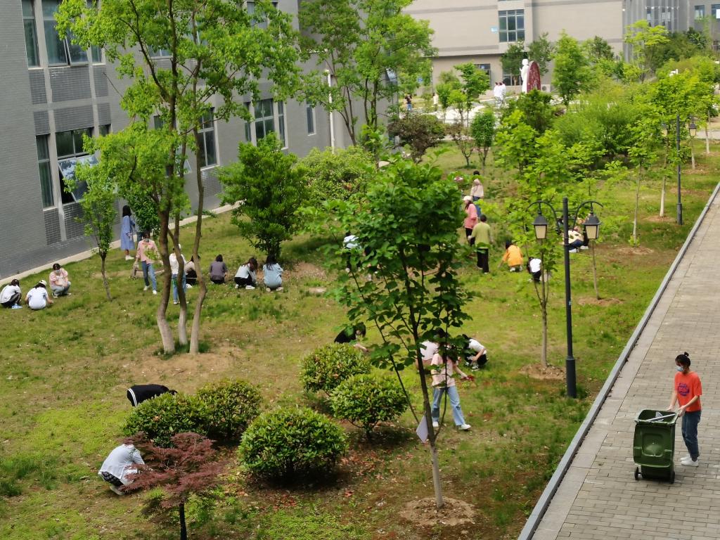 劳动淬炼成长 护理学院积极开展学生劳动教育宣传周活动